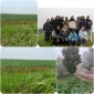 دانشجویان رشته طراحی دوخت در جشنواره شقایق ها در روستای حسین آباد کالپوش