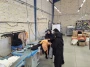 کنسرسیون اشتغال
