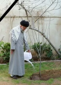جای خالی آن جانباز شهید در روز درختکاری
 2
