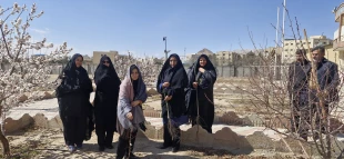 جای خالی آن جانباز شهید در روز درختکاری
 6