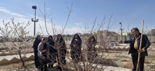 جای خالی آن جانباز شهید در روز درختکاری
 7