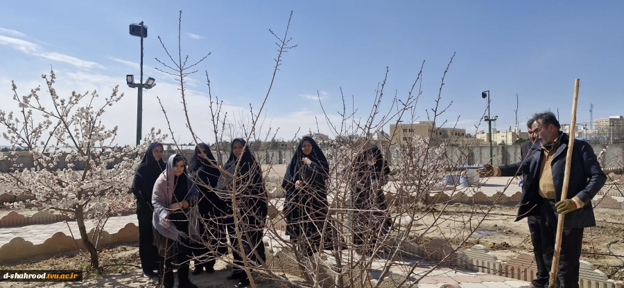 جای خالی آن جانباز شهید در روز درختکاری
 7