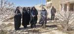 جای خالی آن جانباز شهید در روز درختکاری
 9