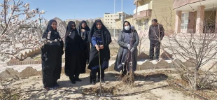 جای خالی آن جانباز شهید در روز درختکاری
 9
