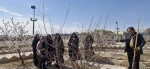 گرامی‌داشت هفته منابع طبیعی؛ کاشت ۳۰ نهال مثمر در محوطه خوابگاه دانشکده ملی مهارت دختران شاهرود 7