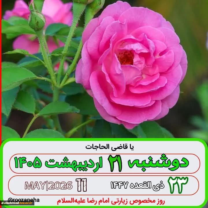 photo26710248692