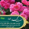 حضرت محمد (ص) فرمودند: ﻿﻿فرزندم از خواندن قرآن غافل مباش، زیرا که قرآن دل مرده را زنده مى‌کند و از فحشاء و زشتى باز مى‌دارد

