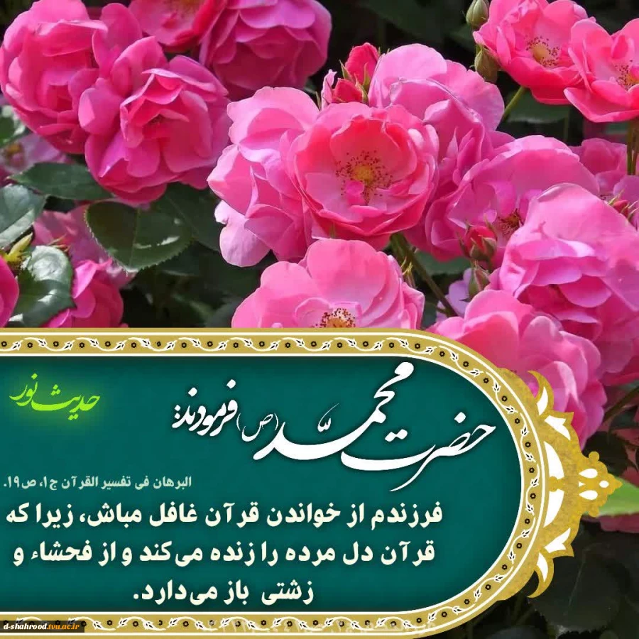 حضرت محمد (ص) فرمودند: ﻿﻿فرزندم از خواندن قرآن غافل مباش، زیرا که قرآن دل مرده را زنده مى‌کند و از فحشاء و زشتى باز مى‌دارد

